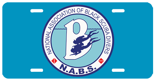N.A.B.S. LICENSE PLATE COVER &-OR FRAME