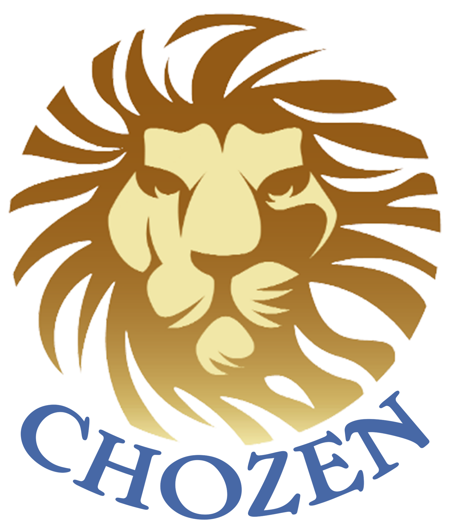 Chozen By Chozen Solutions