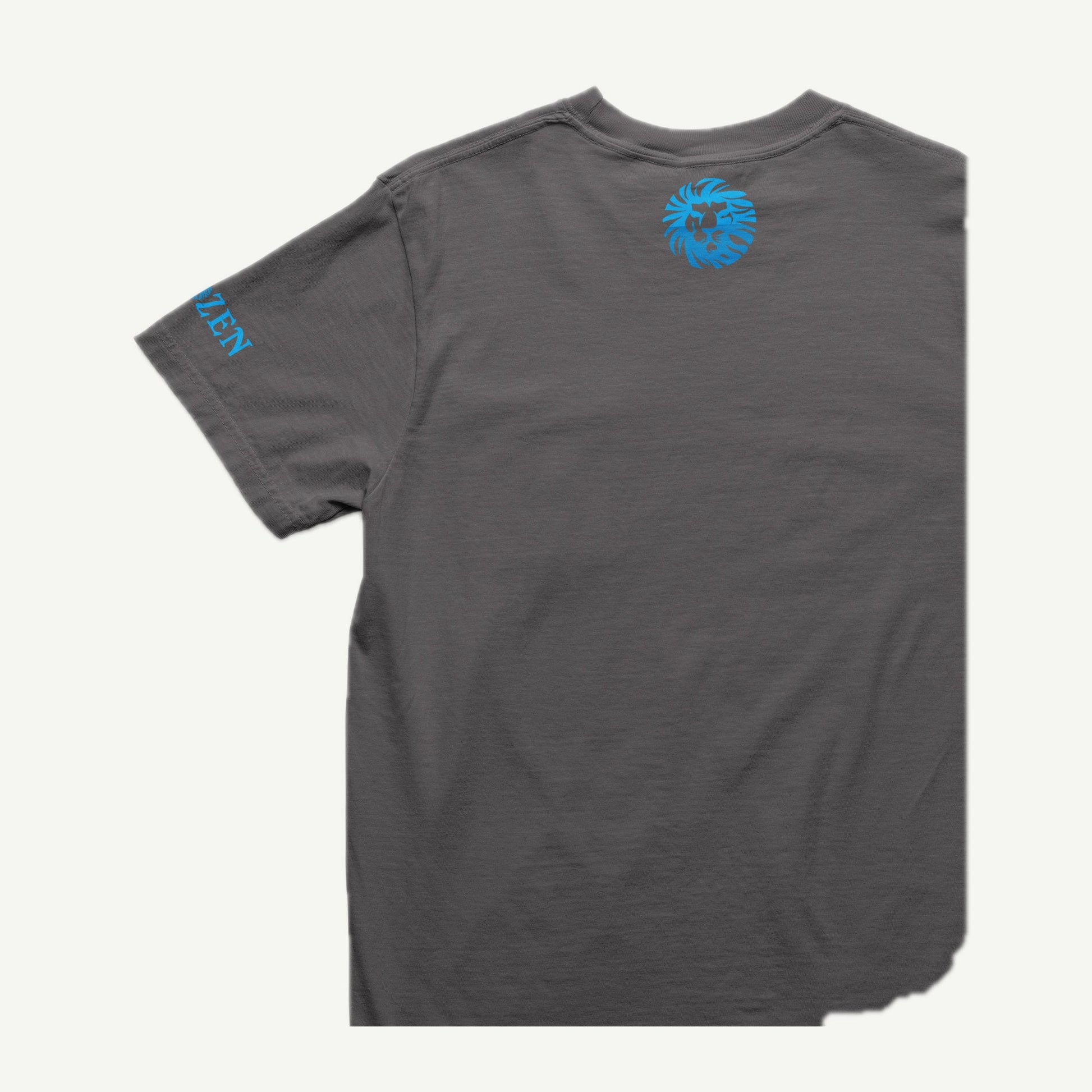 Only Faith charcoal T-shirt back and left sleeve view with blue CHOZEN branding