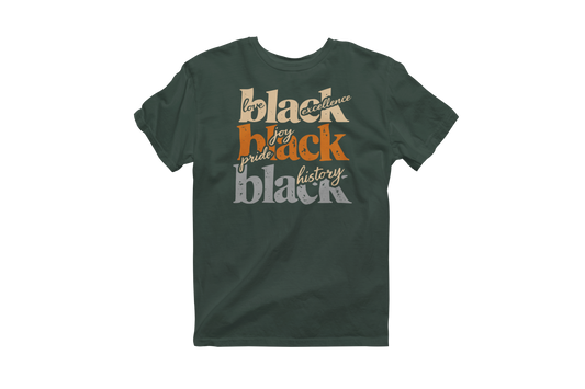 "Black Love, Excellence, Joy, Pride, History" Premium T-Shirt